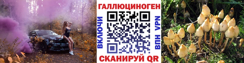 купить  цена  Питкяранта  Псилоцибиновые грибы GOLDEN TEACHER 