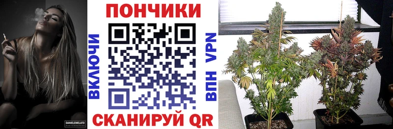 маркетплейс какой сайт  Питкяранта  Каннабис AK-47 